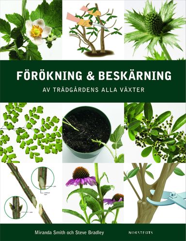 Förökning och beskärning