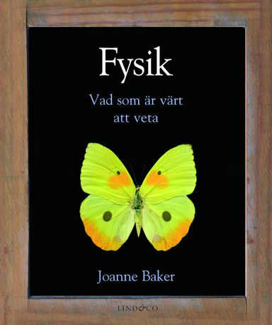 Fysik : vad som är värt att veta