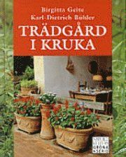 Geite, B/Trädgård i kruka