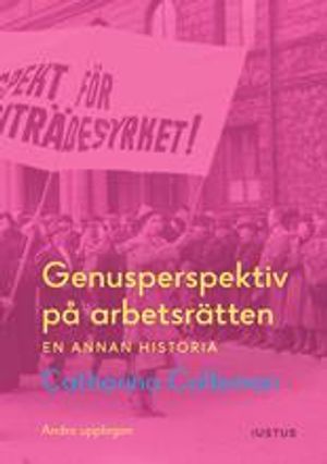 Genusperspektiv på arbetsrätten : en annan historia