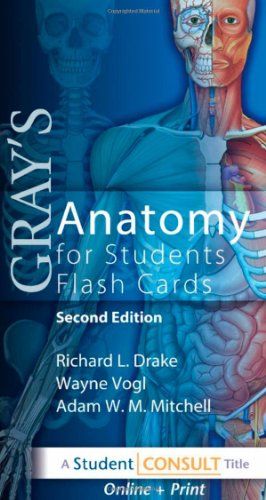 Gray's Anatomy for Students Flash Cards