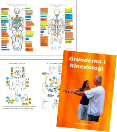 Grunderna i kinesiologi : alternativmedicinska behandlingsmetoder (Bok + plansch)