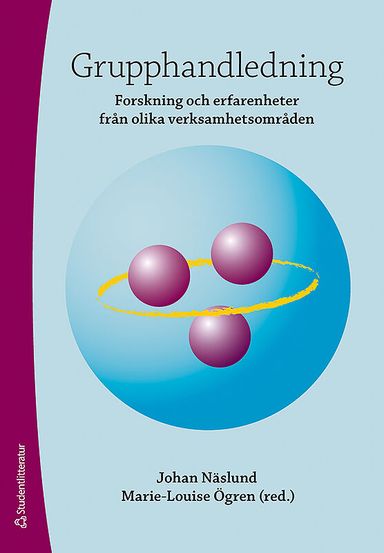 Grupphandledning : forskning och erfarenheter från olika verksamhetsområden