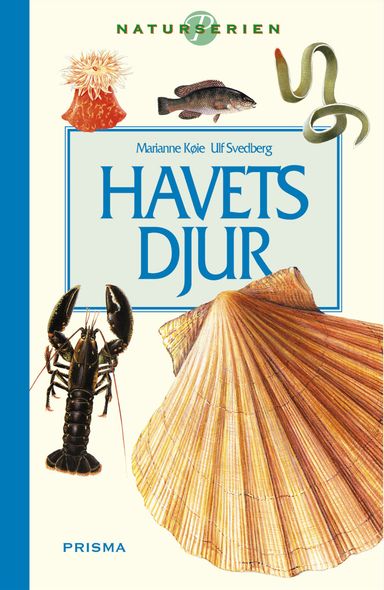 Havets djur