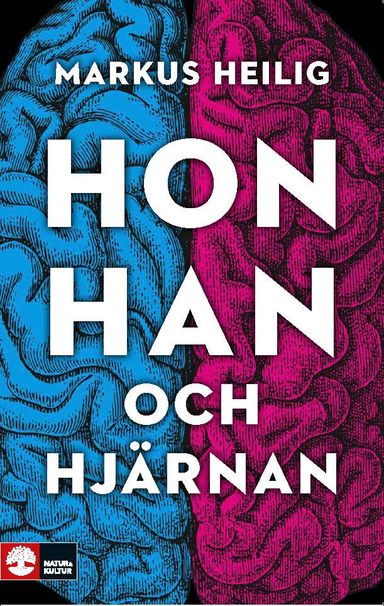 Hon, han och hjärnan