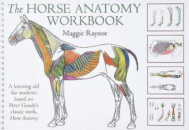 Horse Anatomy Workbook