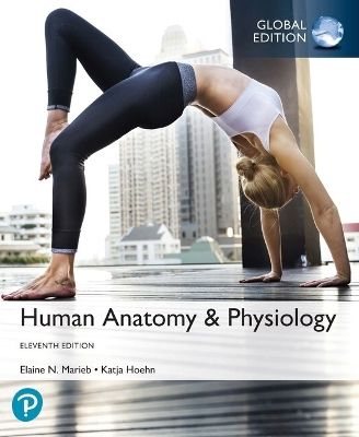 Human anatomy & physiology