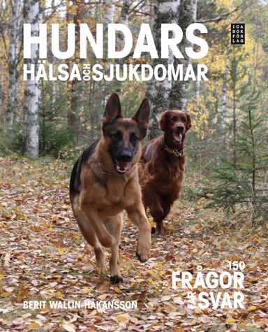 Hundars hälsa och sjukdomar