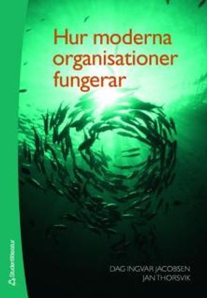 Hur moderna organisationer fungerar