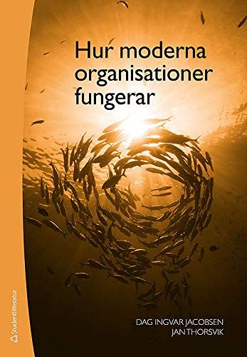 Hur moderna organisationer fungerar