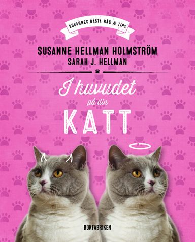 I huvudet på din katt