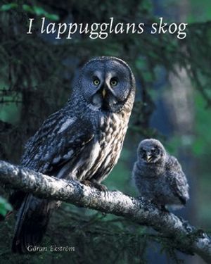 I lappugglans skog