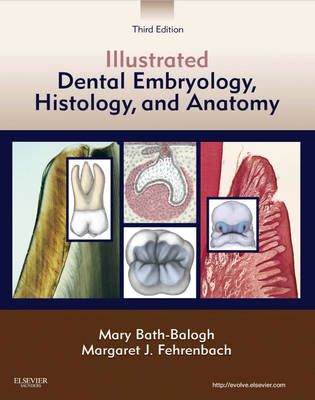 Illustrated Dental Embryology, Histology, and Anatomy