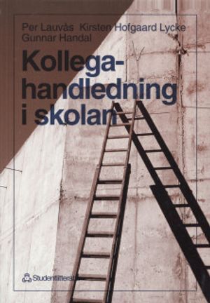 Kollegahandledning i skolan