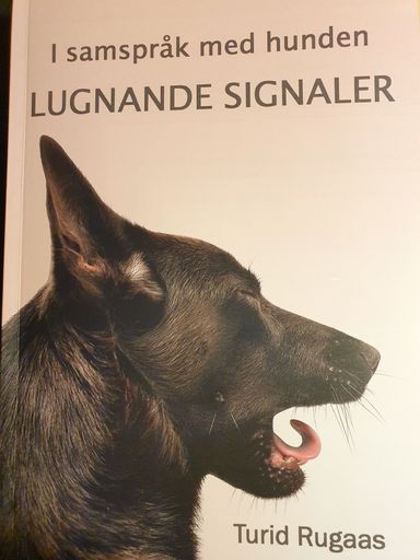 Lugnande signaler: i samspråk med hunden