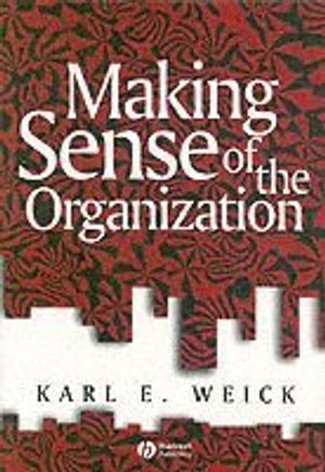 Making Sense of the Organization