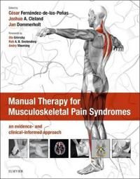 Manual Therapy for Musculoskeletal Pain Syndromes