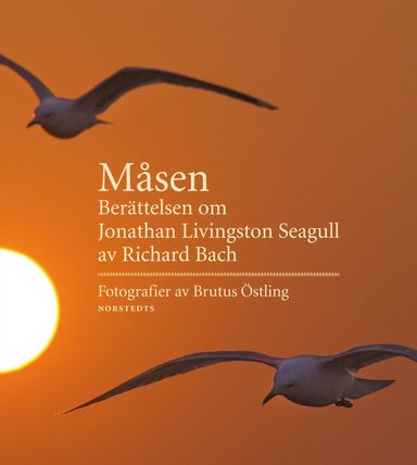 Måsen : berättelsen om Jonathan Livingston Seagull