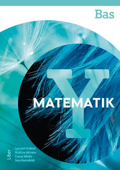 Matematik Y Bas