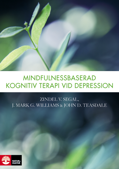 Mindfulnessbaserad kognitiv terapi vid depression