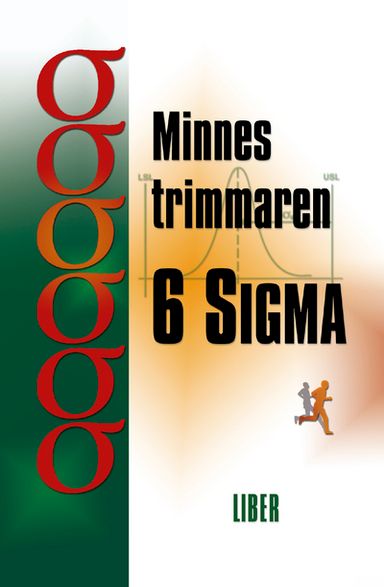 Minnestrimmaren 6 Sigma