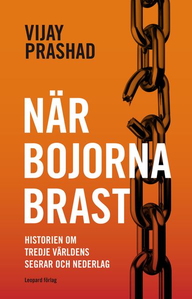 När bojorna brast : historien om Tredje världens segrar och nederlag