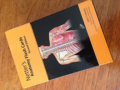 Netter's Anatomy Flash Cards