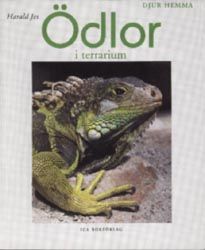 Ödlor i terrarium