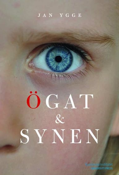 Ögat och synen