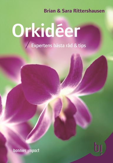 Orkidéer : expertens bästa råd och tips