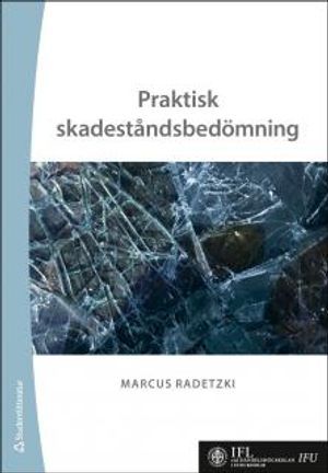 Praktisk skadeståndsbedömning