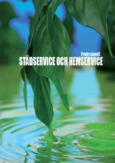 Professionell städservice och hemservice