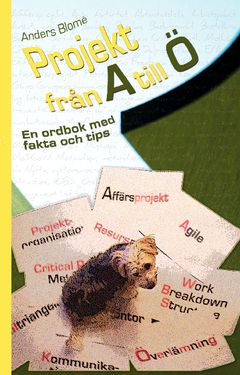 Projekt från A till Ö : en ordbok med fakta och tips