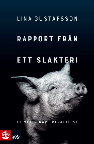 Rapport från ett slakteri : en veterinärs berättelse