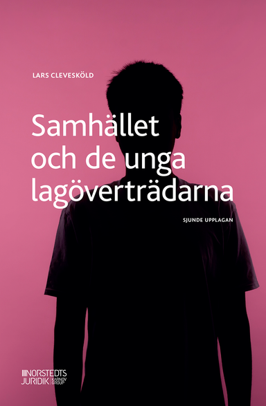 Samhället och de unga lagöverträdarna