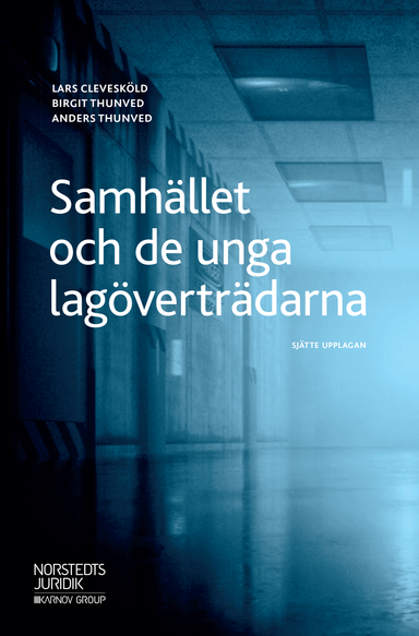 Samhället och de unga lagöverträdarna