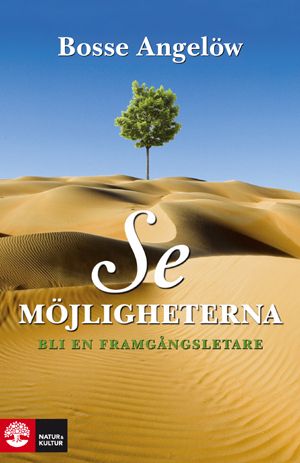 Se möjligheterna : bli en framgångsletare