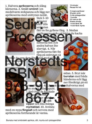 Sedir: Processen