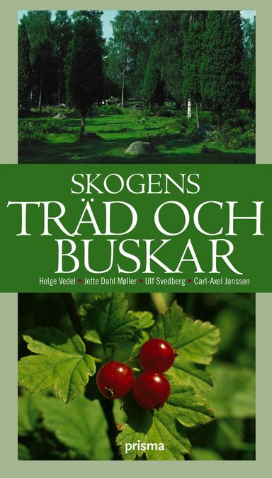 Skogens träd och buskar