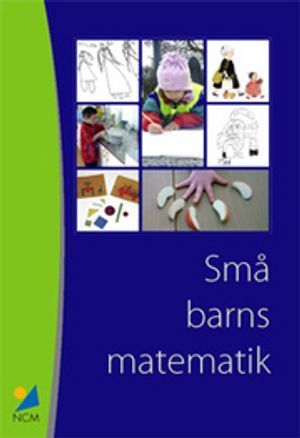 Små barns matematik : Erfarenheter från ett pilotprojekt med barn 1 - 5 år och deras lärare