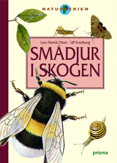 Smådjur i skogen