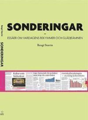 Sonderingar : essäer om vardagens bekymmer och glädjeämnen