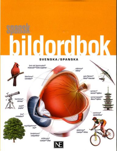 Spansk bildordbok