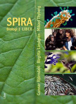 Spira 1