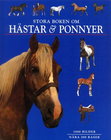 Stora boken om hästar och ponnyer