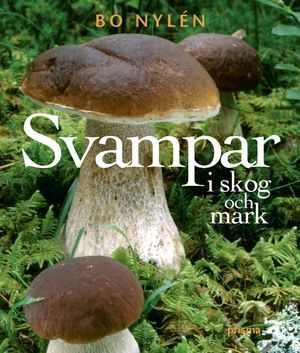 Svampar i skog och mark