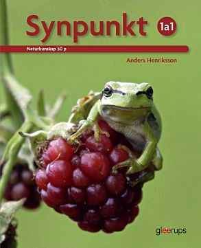 Synpunkt 1a1, 50 p