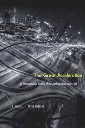 The Great Acceleration