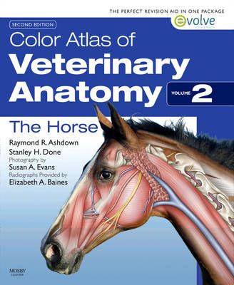 The HorseColor atlas of veterinary anatomy, Stanley H. Done