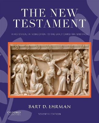 The New Testament : a historical introduction to the early Christian writings